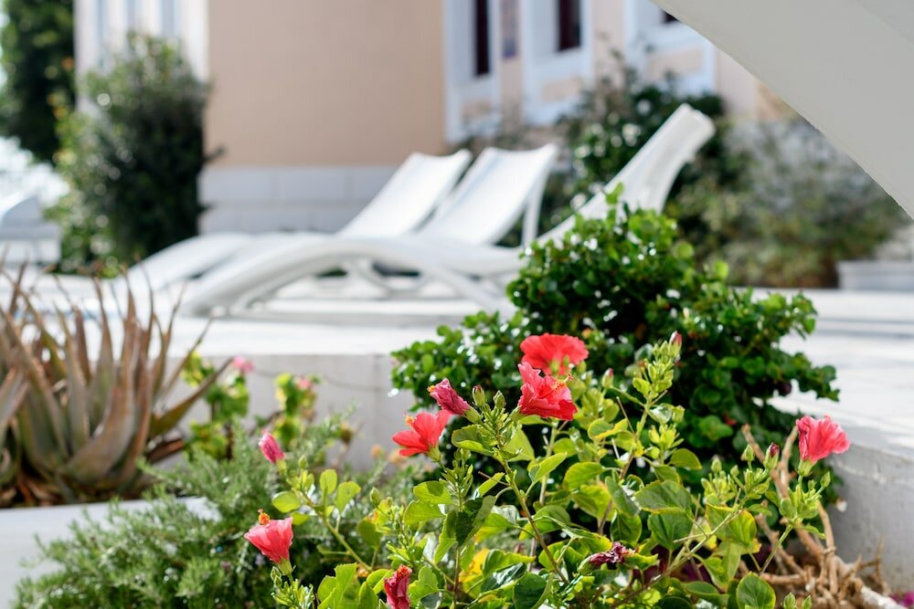 Фото Veggera Hotel