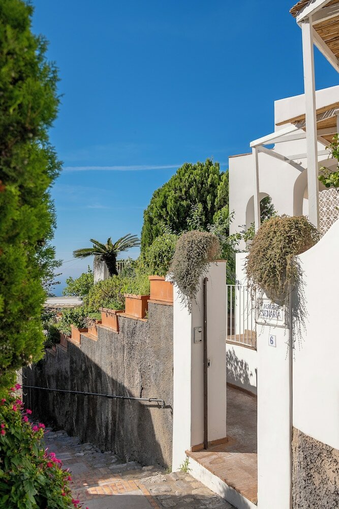 Фото Hotel Senaria