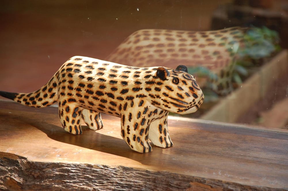 Фото Tierra Guarani Lodge de Selva