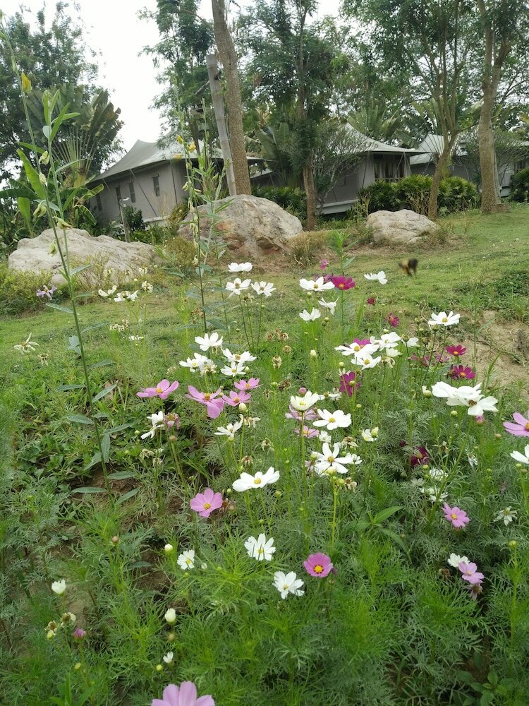 Фото Pai Vimaan Resort