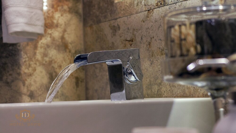 Фото Hotel David