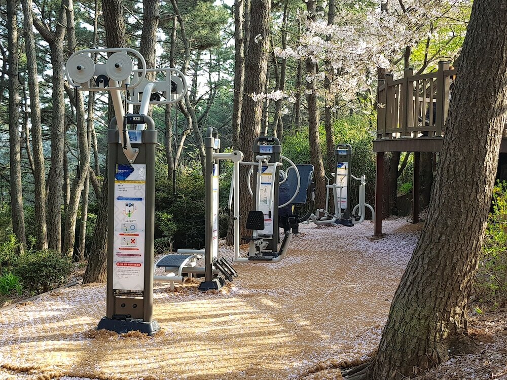 Фото Suntree Hotel