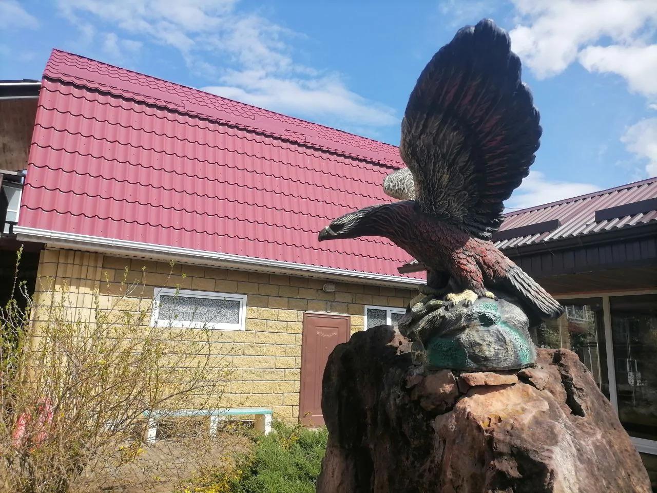 Фото Дом Кролика