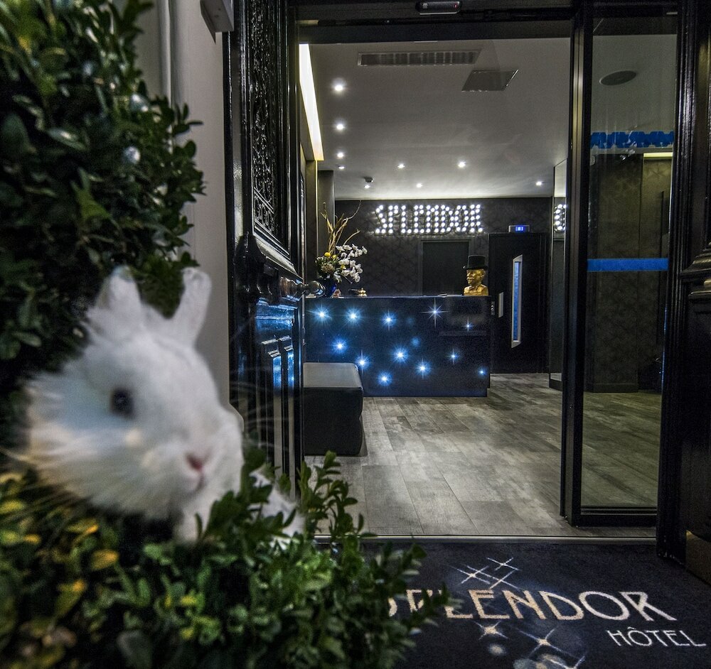 Фото Hôtel Splendor Elysées