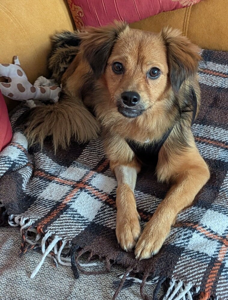 Фото Hotel Victor Hugo