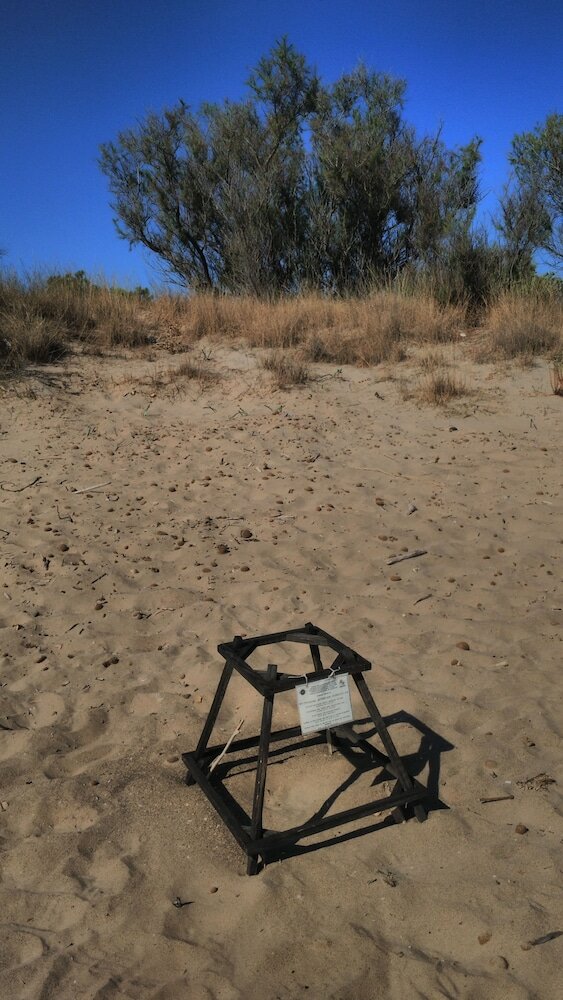 Фото Hotel Sydney