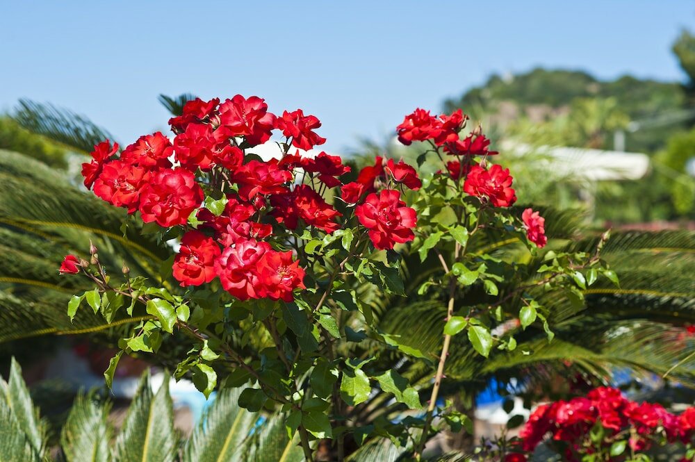 Фото Casa Di Meglio