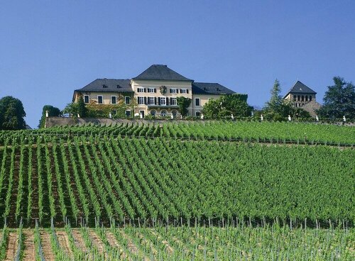 Внешний вид отеля Altdeutsche Weinstube в Рюдесхайме, фото 2