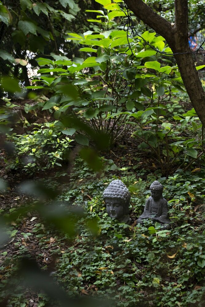 Фото Hotel Colombia