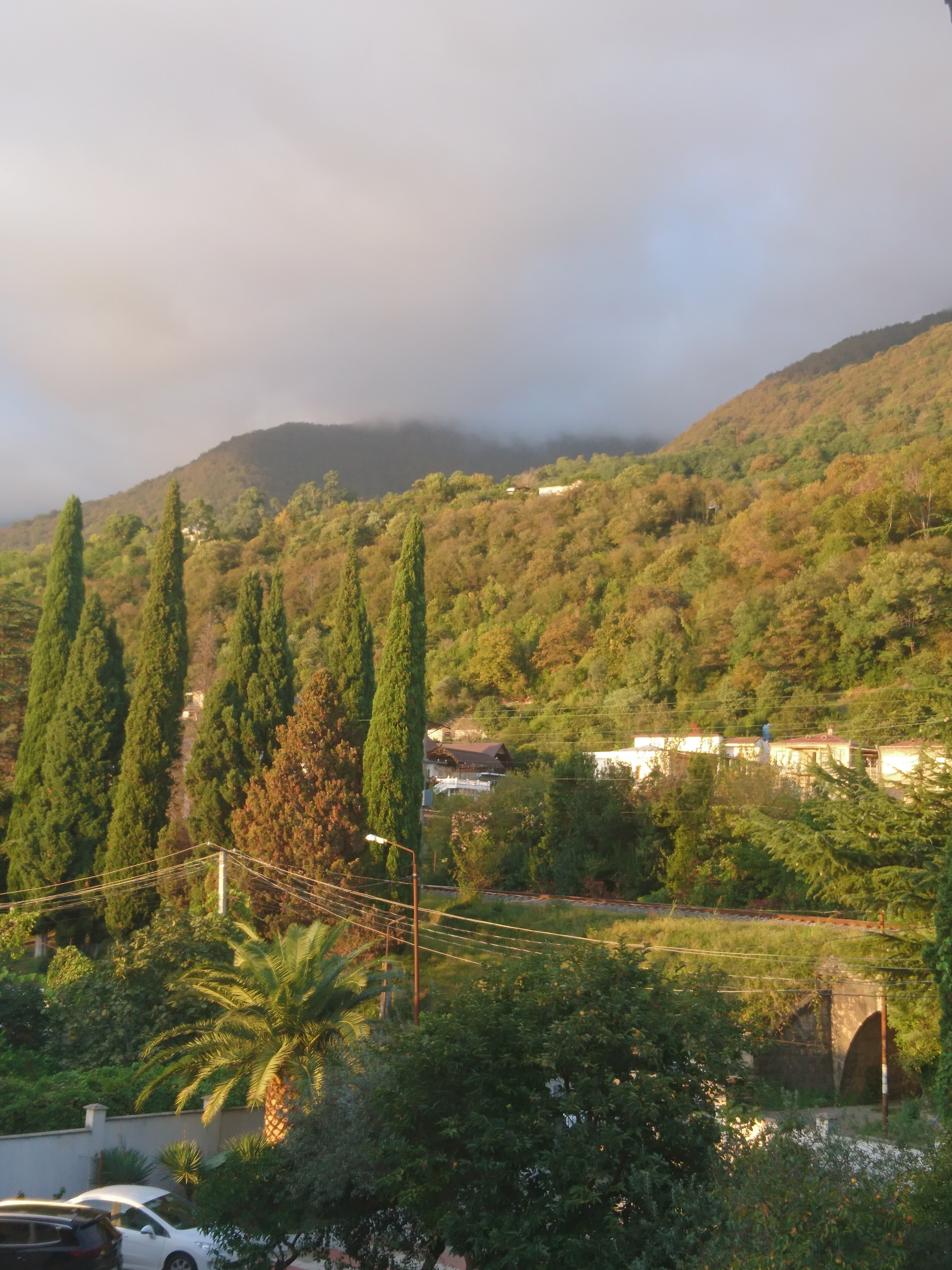 Фото 93044614489