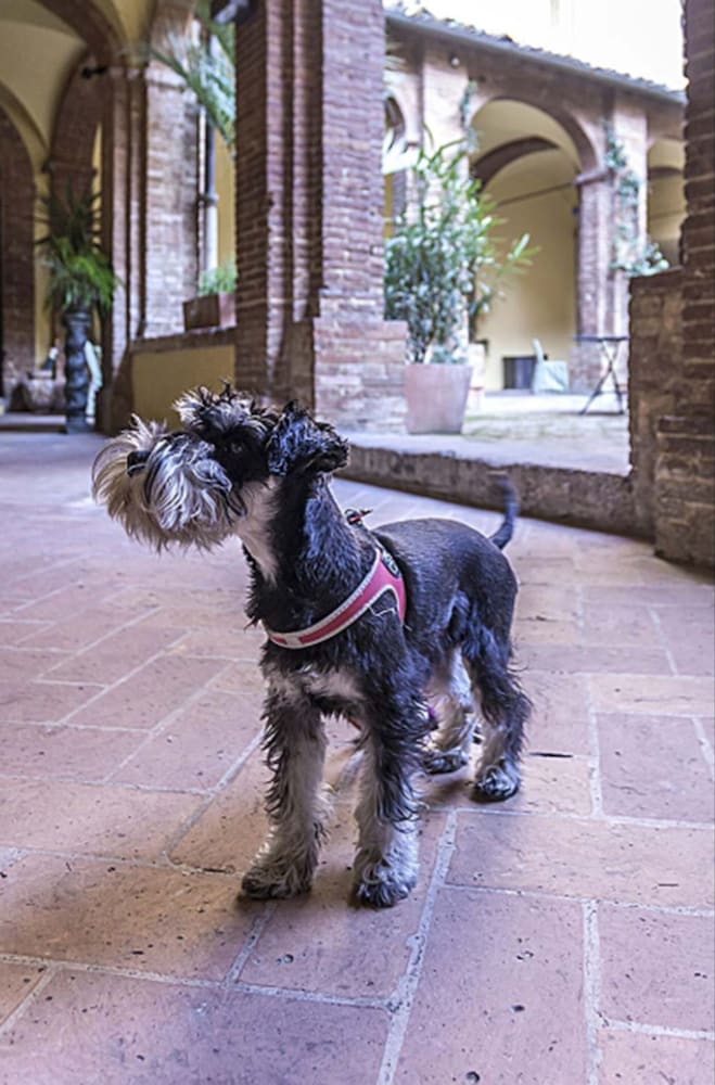 Фото Il Chiostro del Carmine