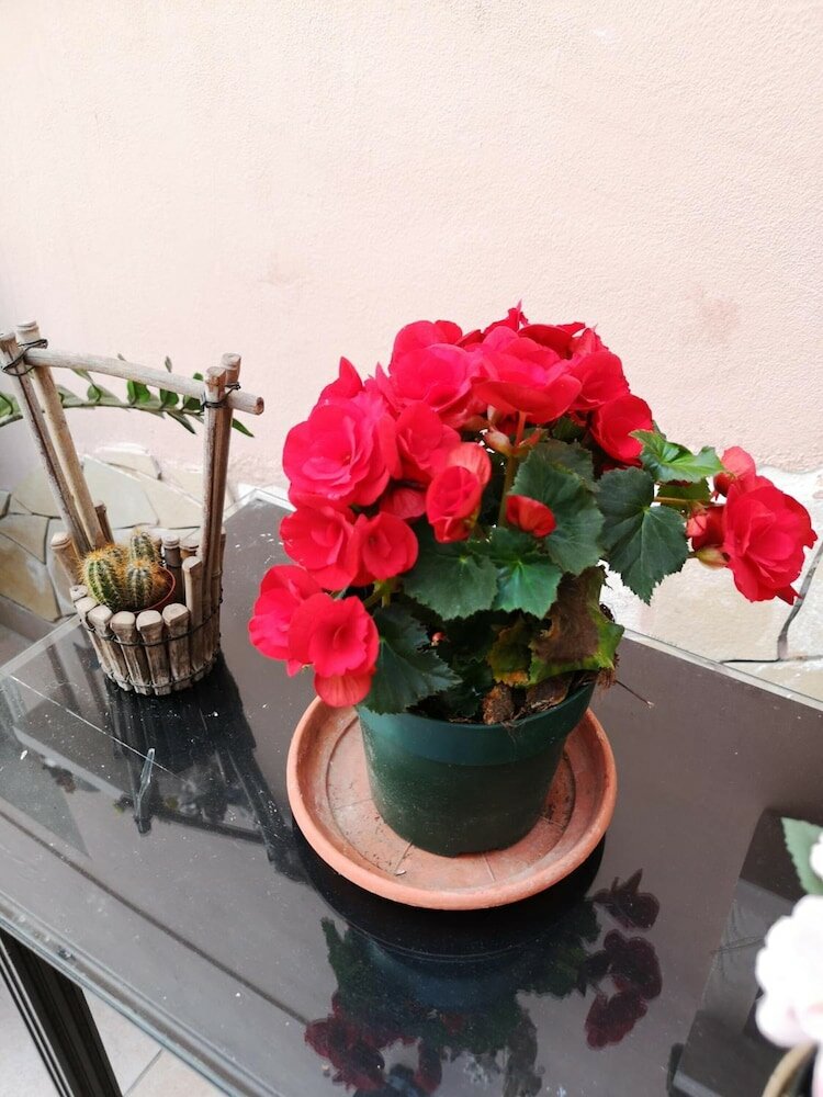 Фото B&b Casa Valeria