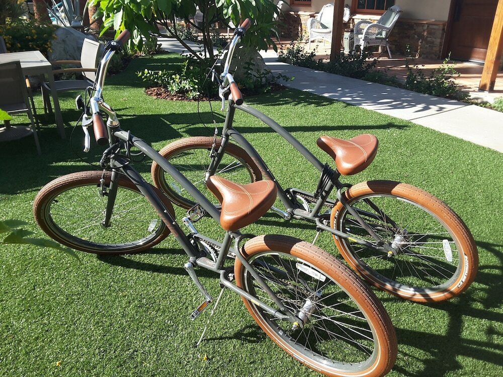 Фото Dive Palm Springs