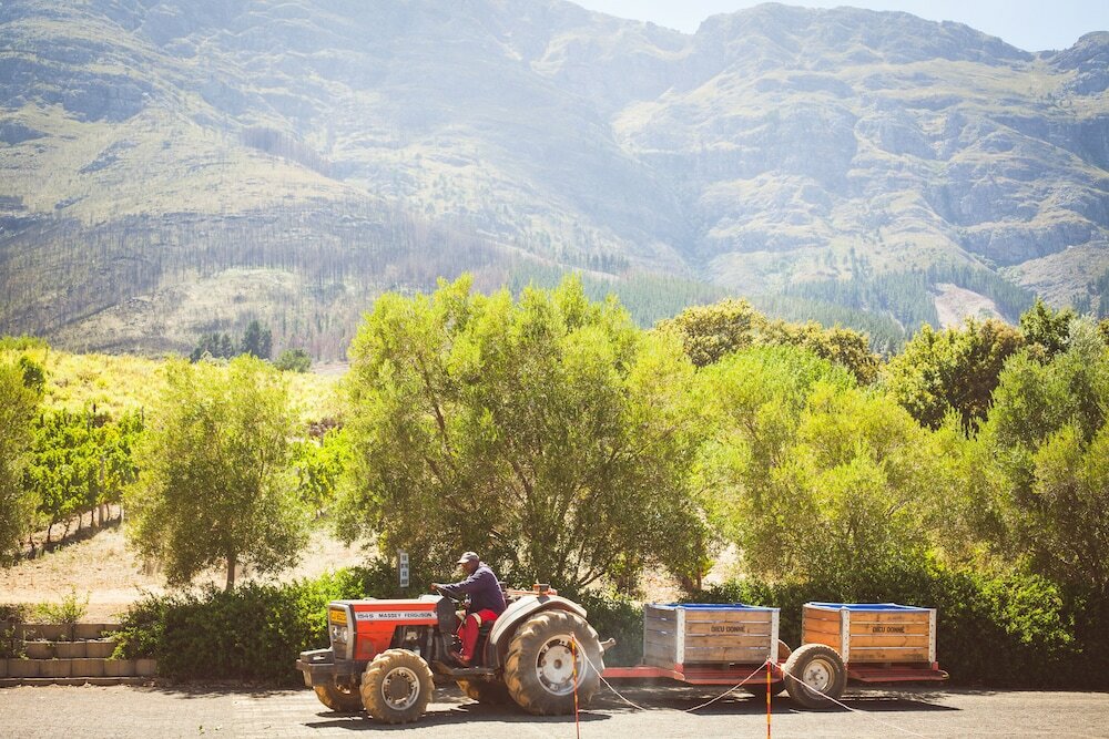 Фото Maison Montagne