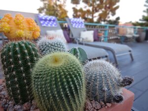 Гостиница The Presidio