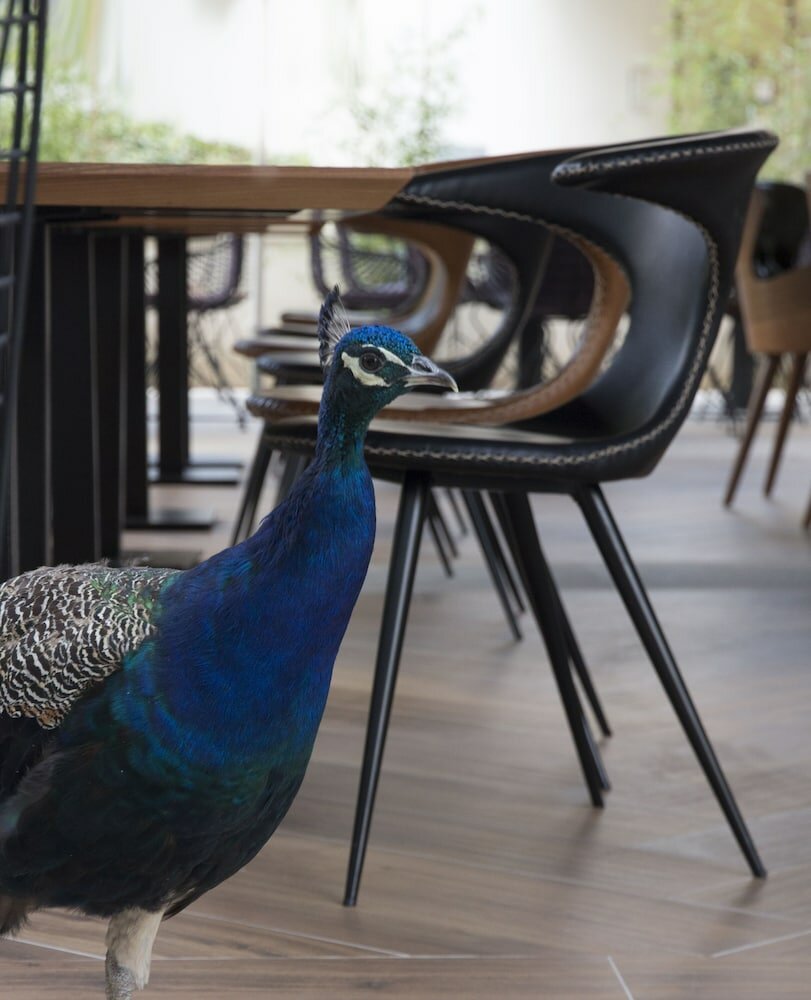 Фото Time Boutique Hotel