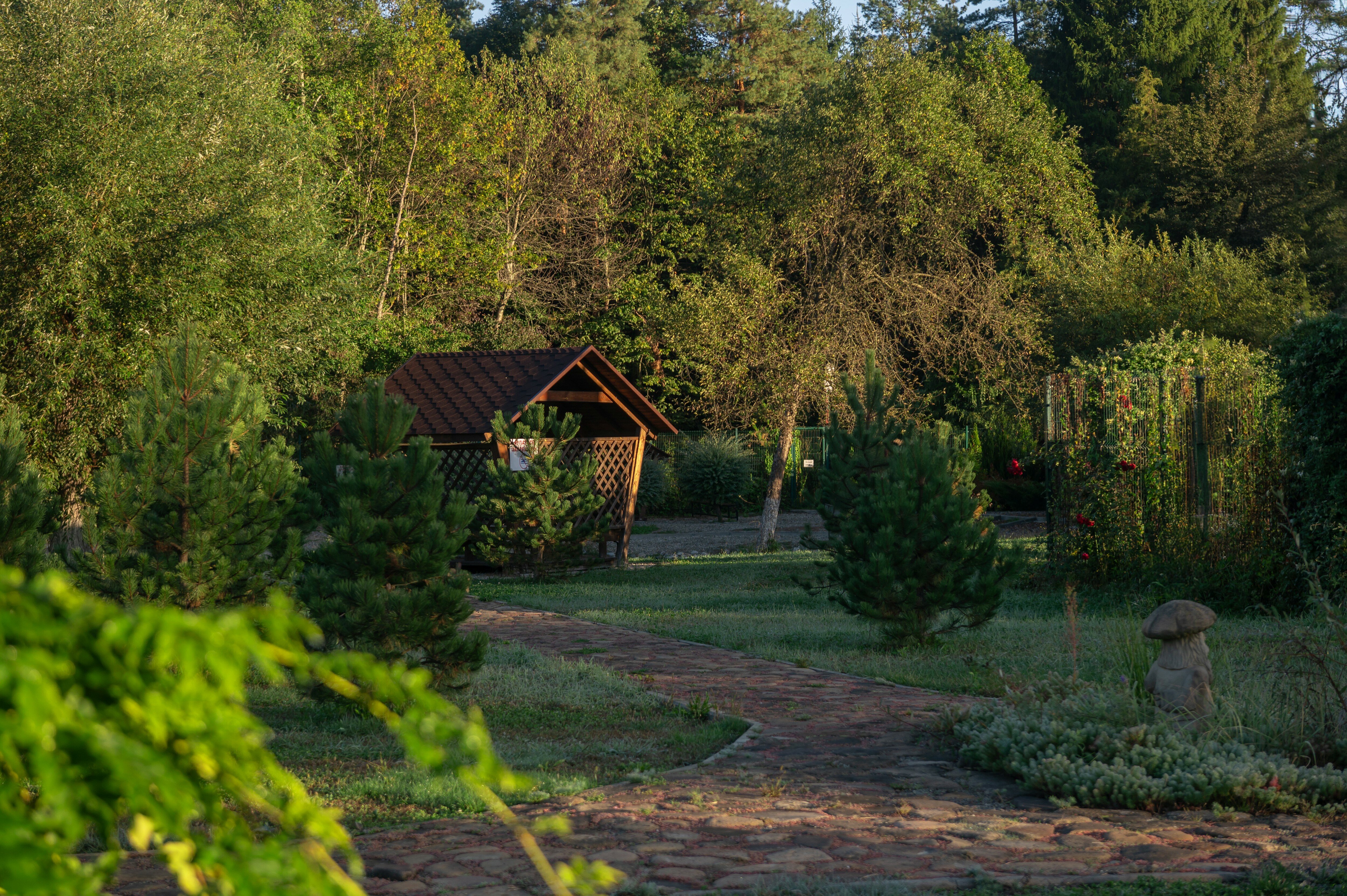 Фото Павлова поляна