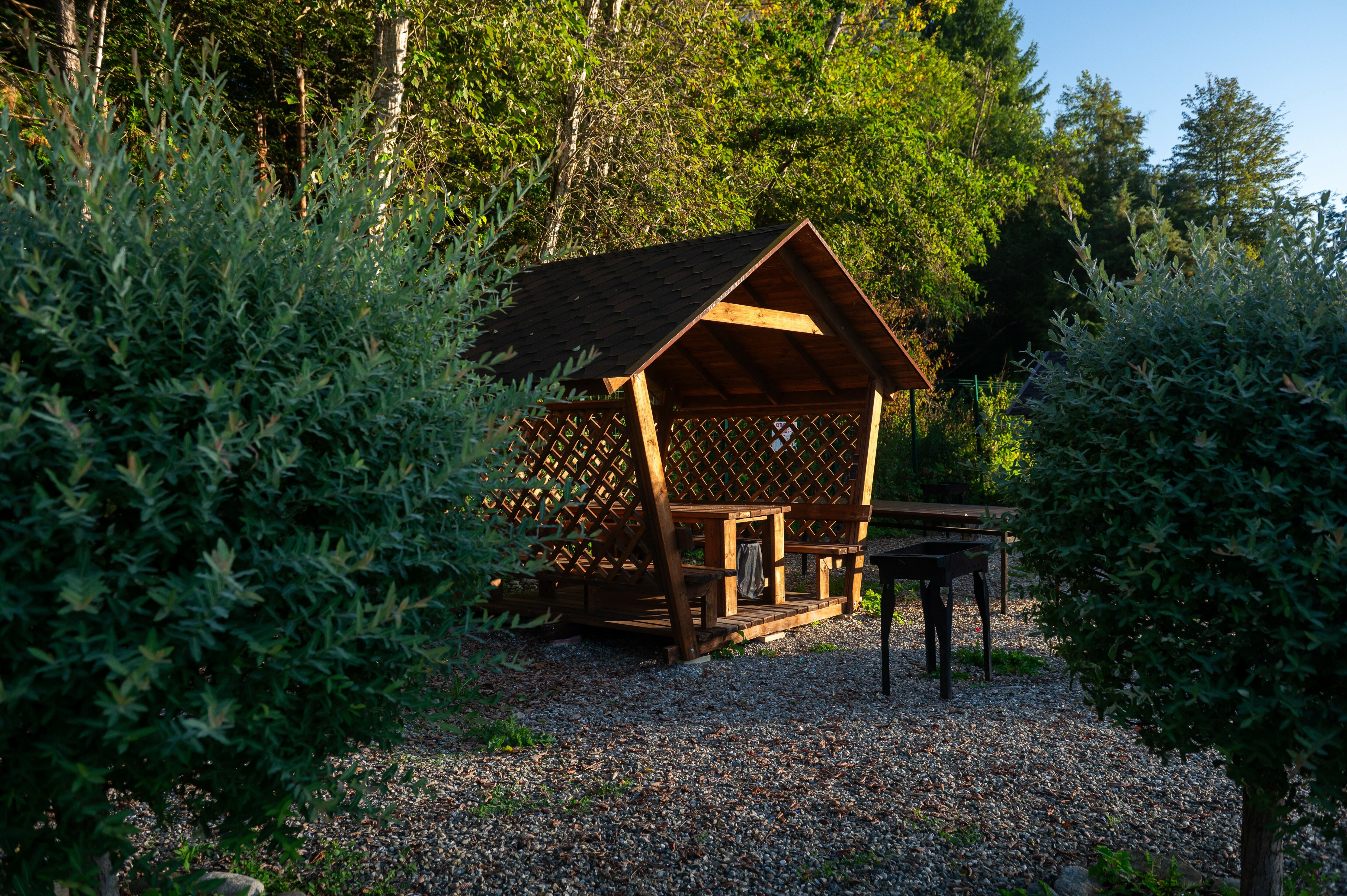 Фото Павлова поляна