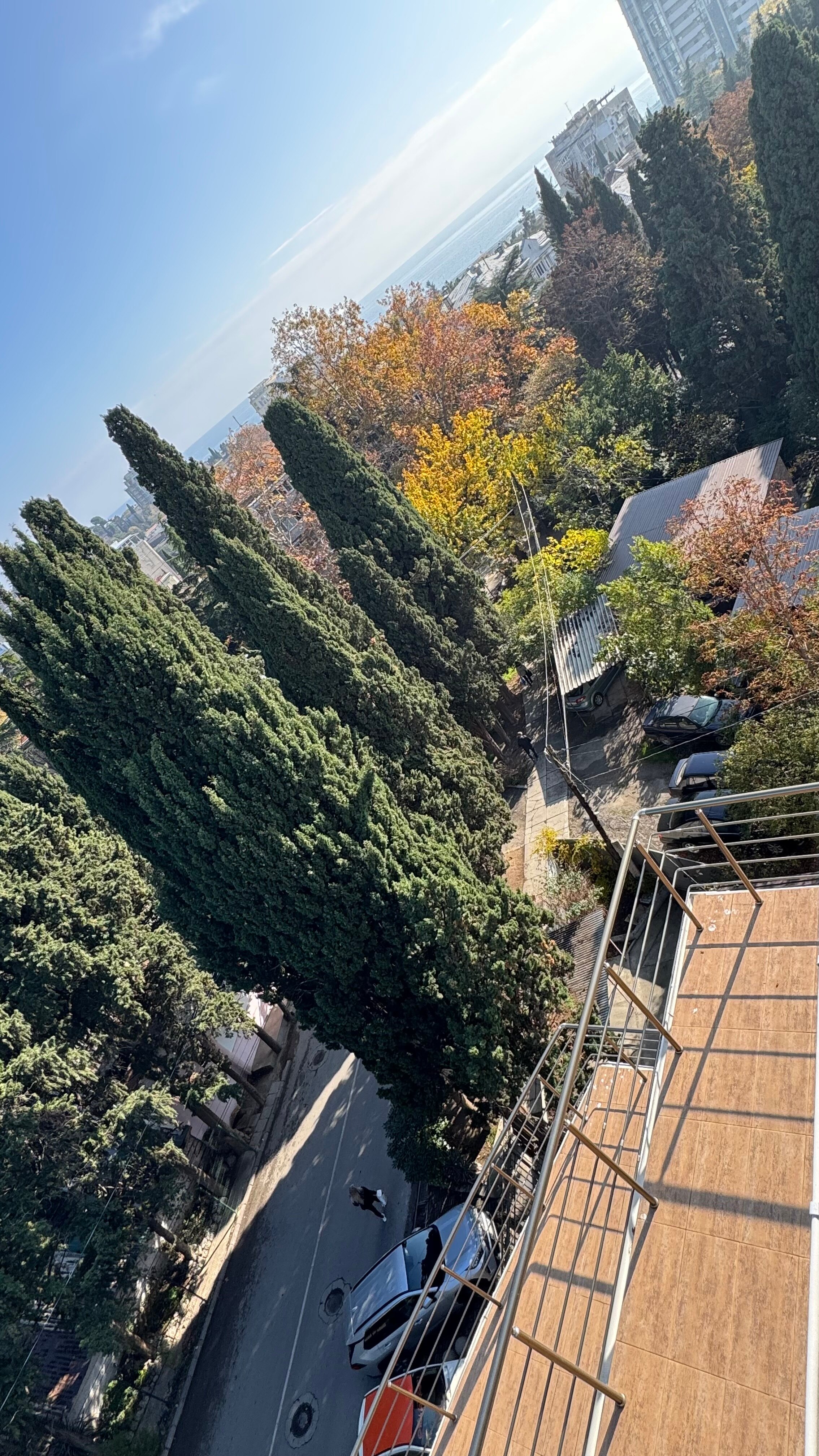 Фото Бульвар