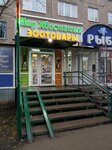 Mir khvostatykh (Soldatova Street, 36), pet shop