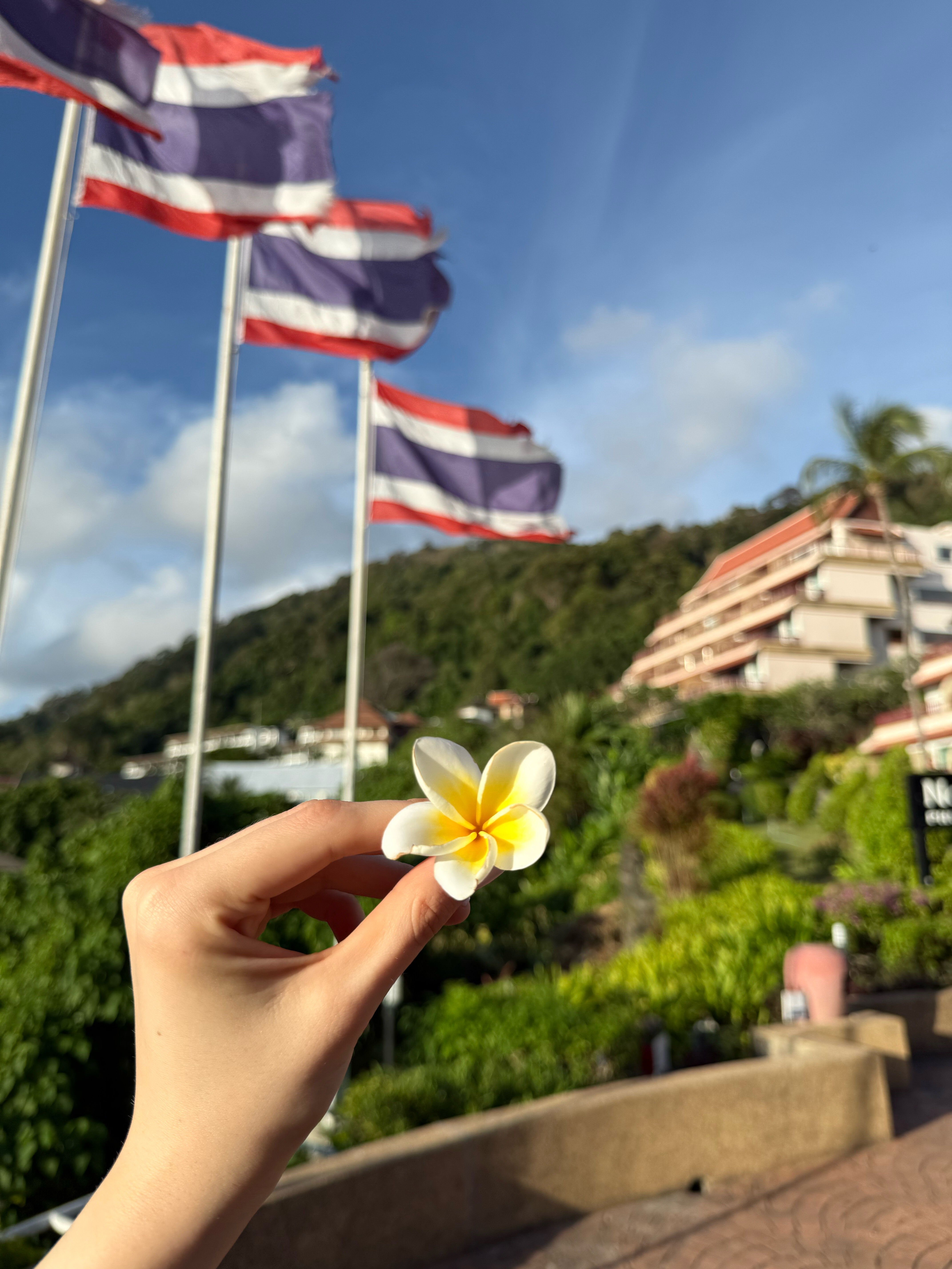 Фото Novotel Phuket Resort