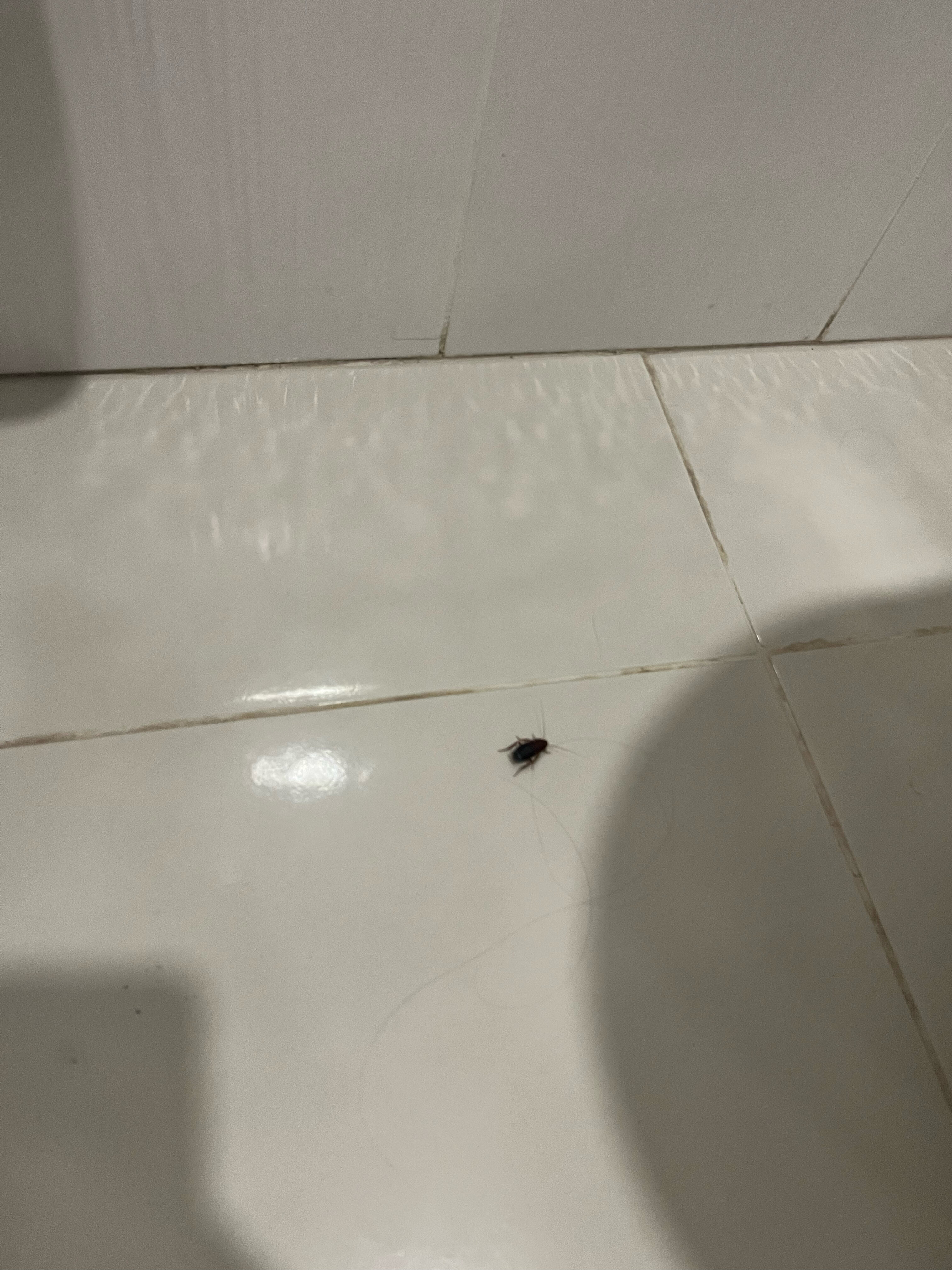 Фото ЭкоДом Адлер