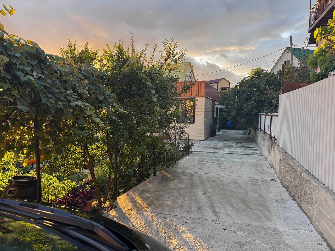 Фото Видисвет