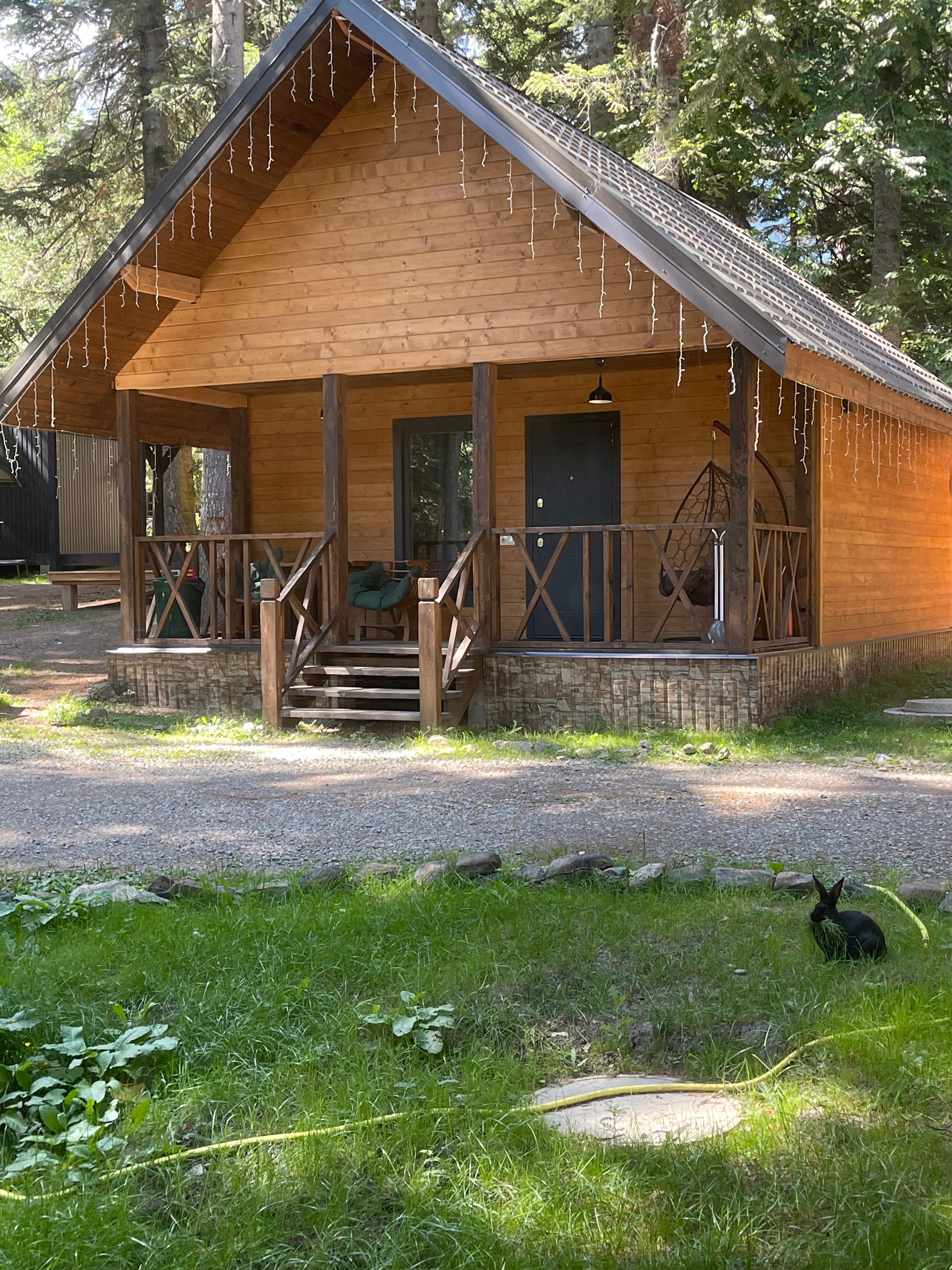 Фото Алан Коттедж