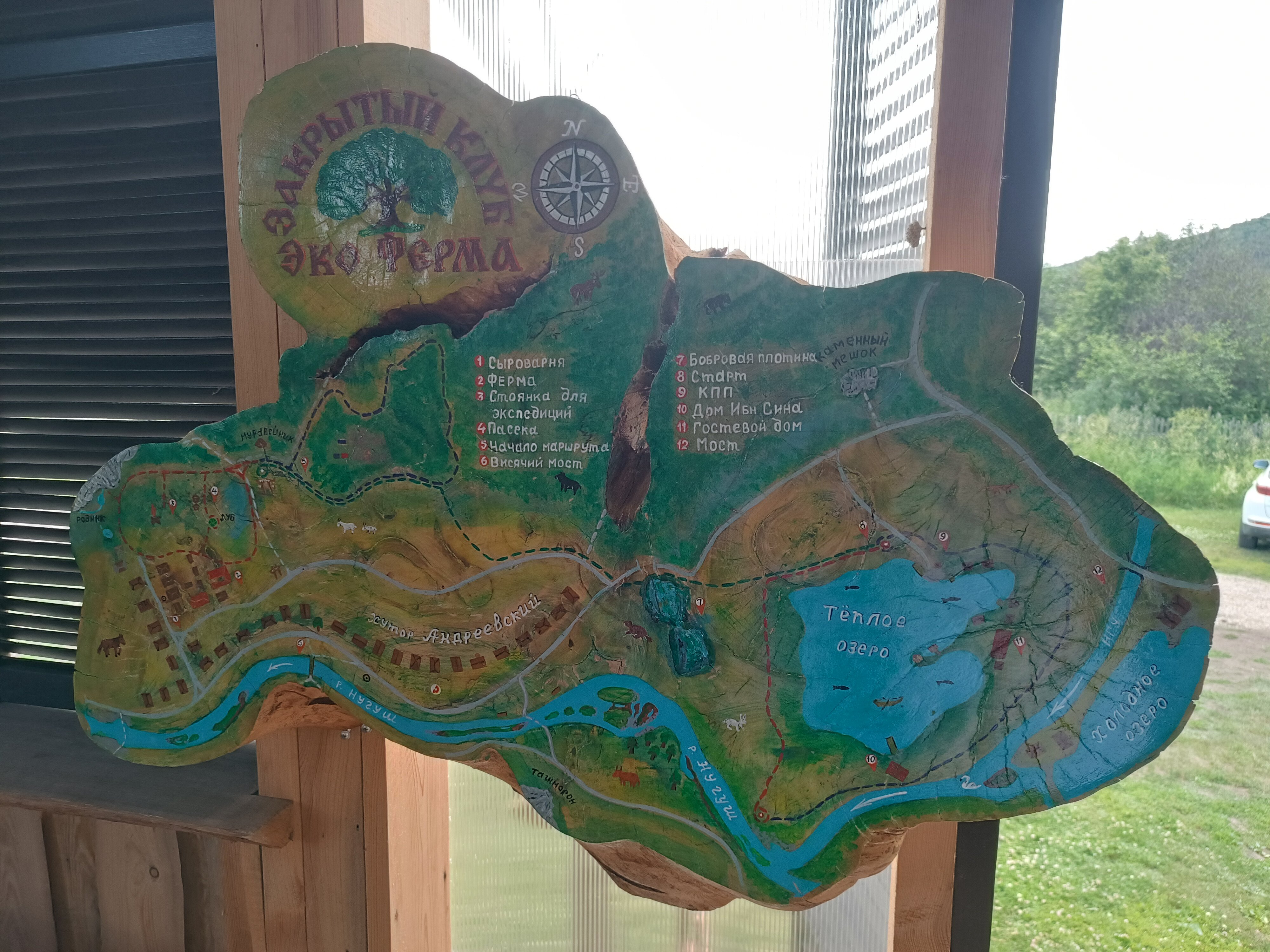 Фото Башкирская коза