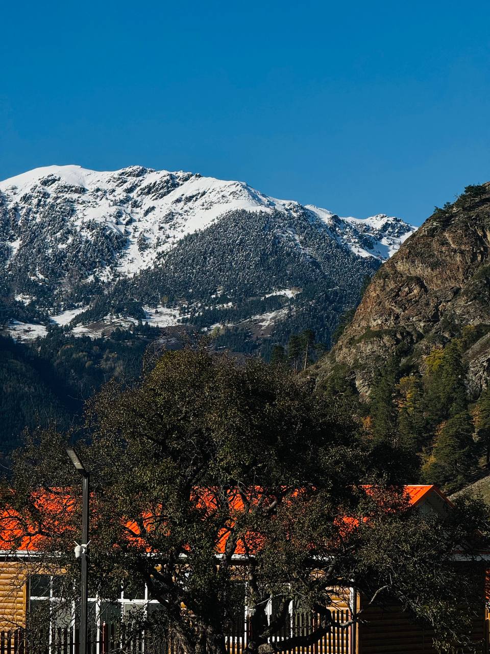 Фото Why Not Relax