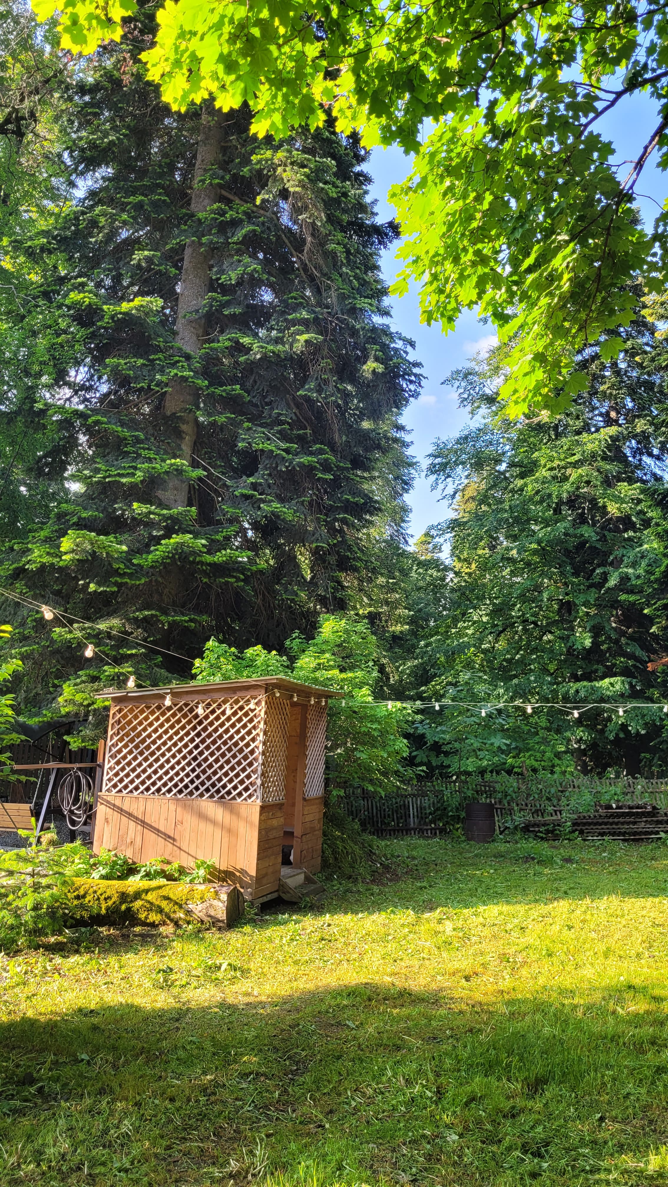 Фото Золотой Орёл