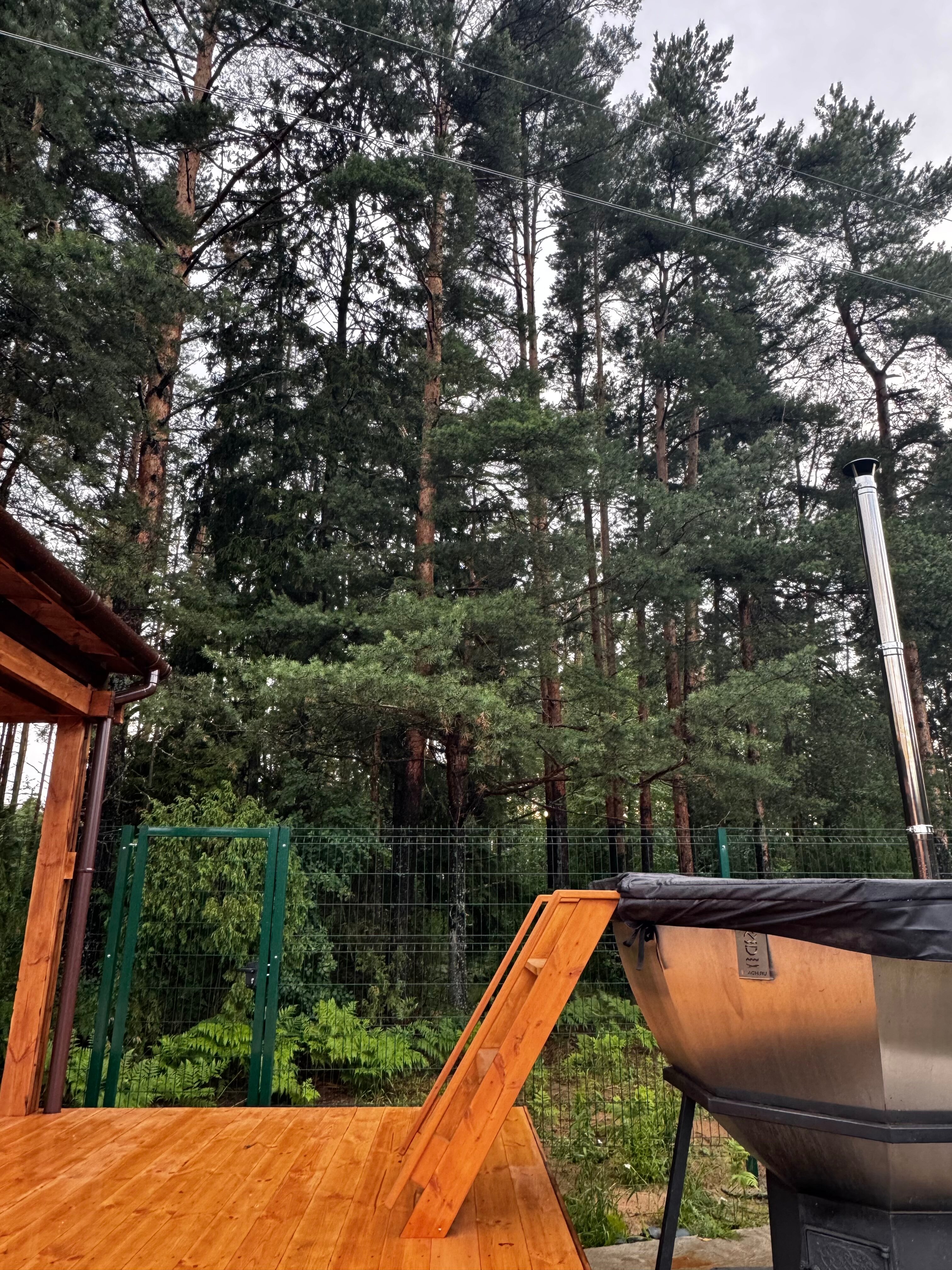 Фото Листья