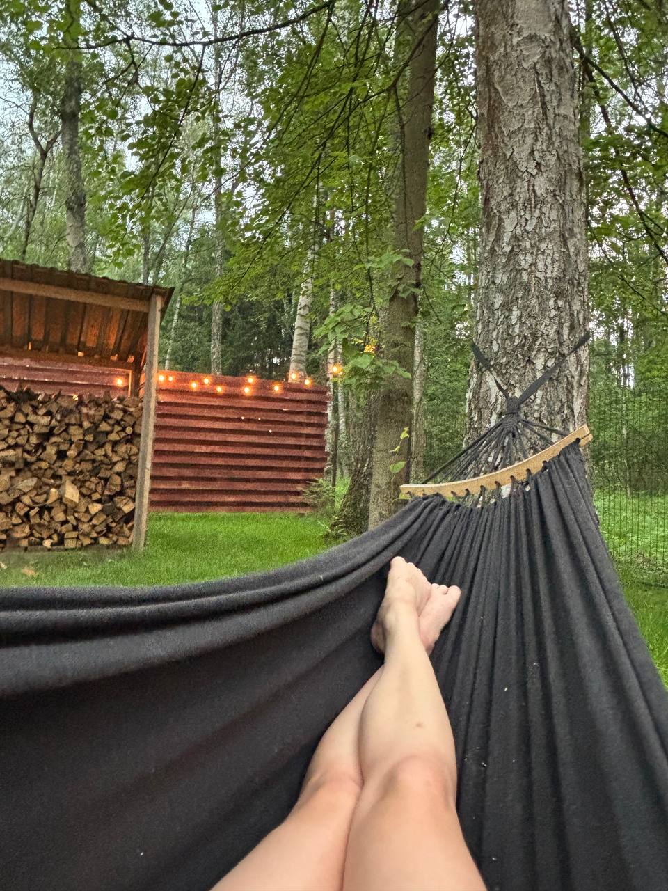 Фото Forest Glamp