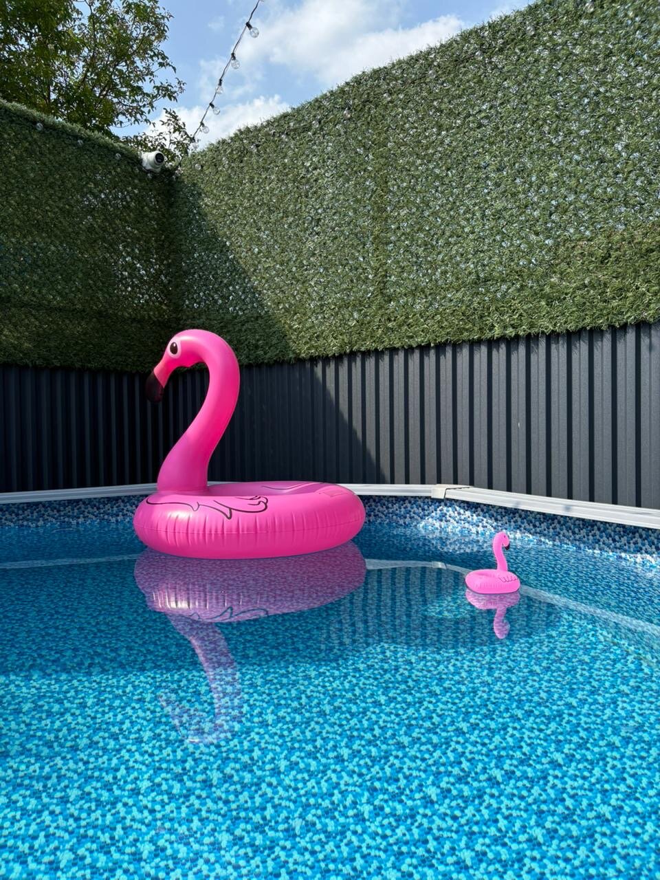 Фото Forest__loft