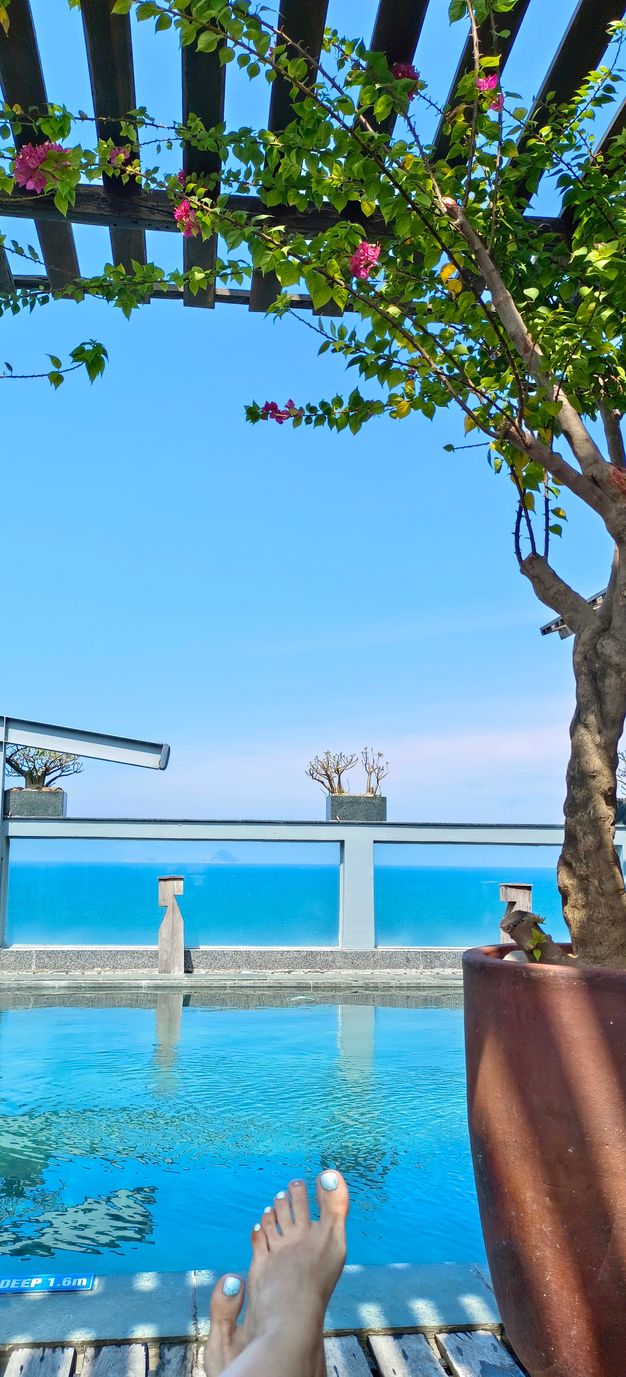 Фото SeaSing Boutique Hotel