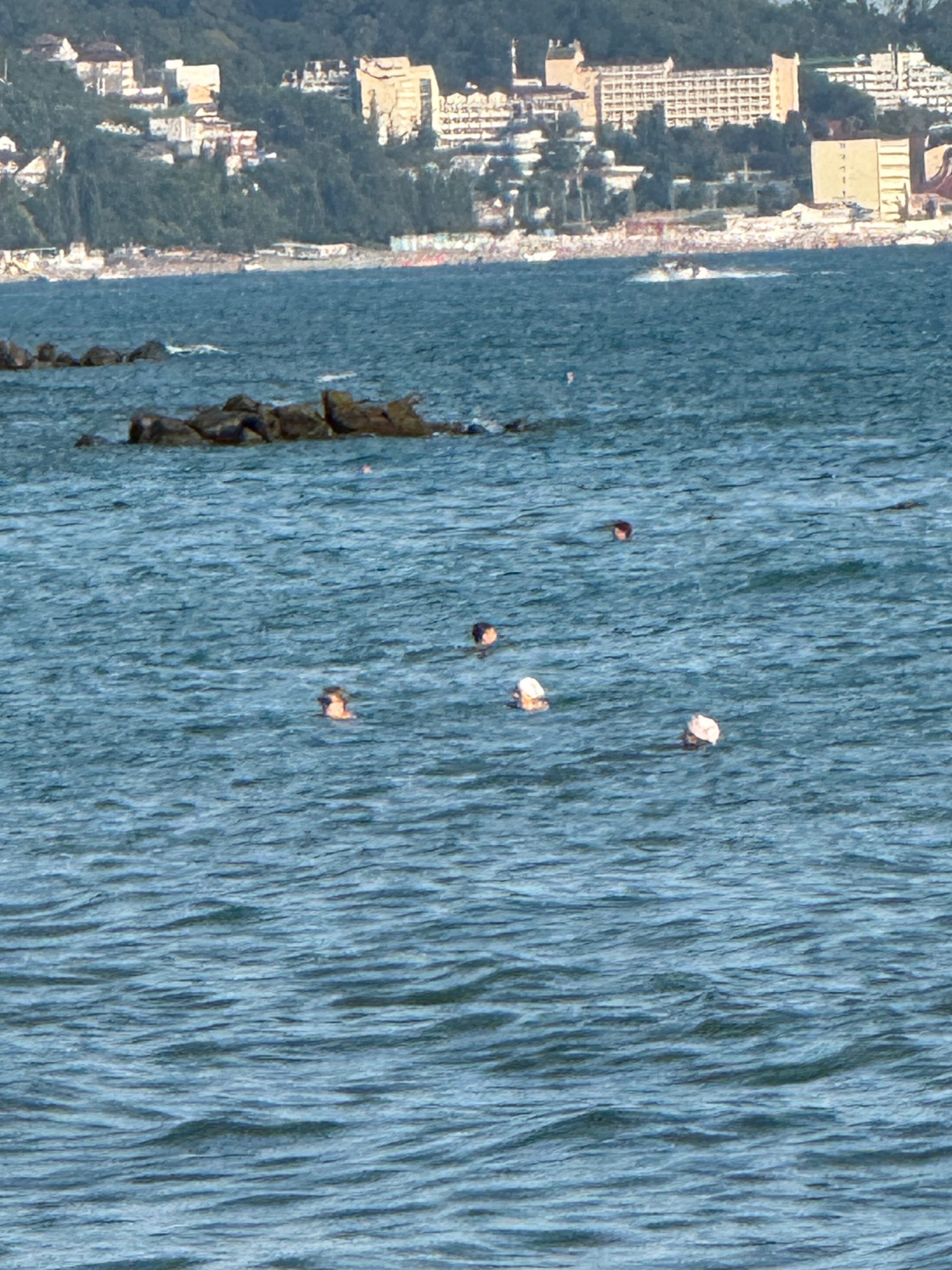 Фото Жемчужина