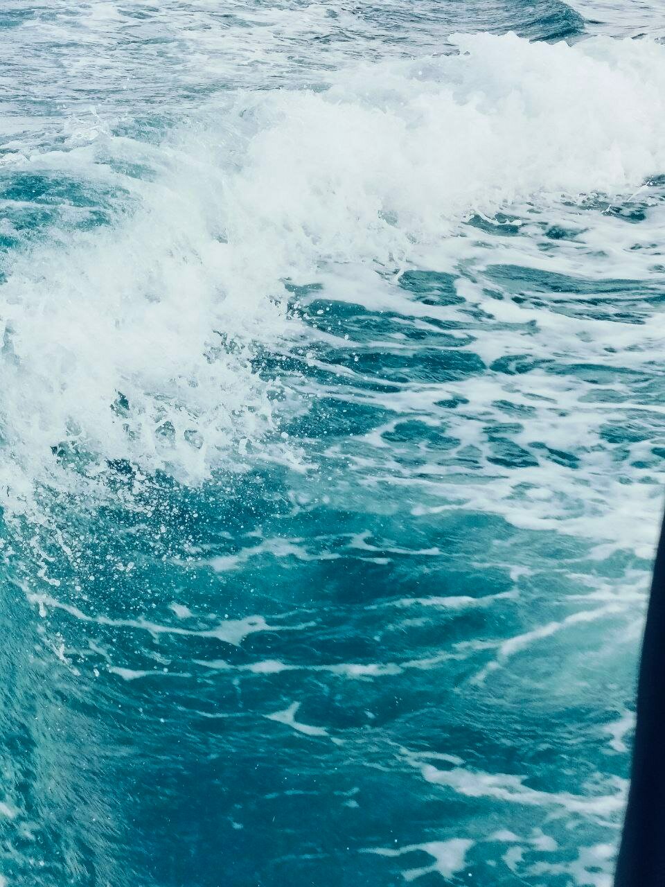 Фото Арктик Серф