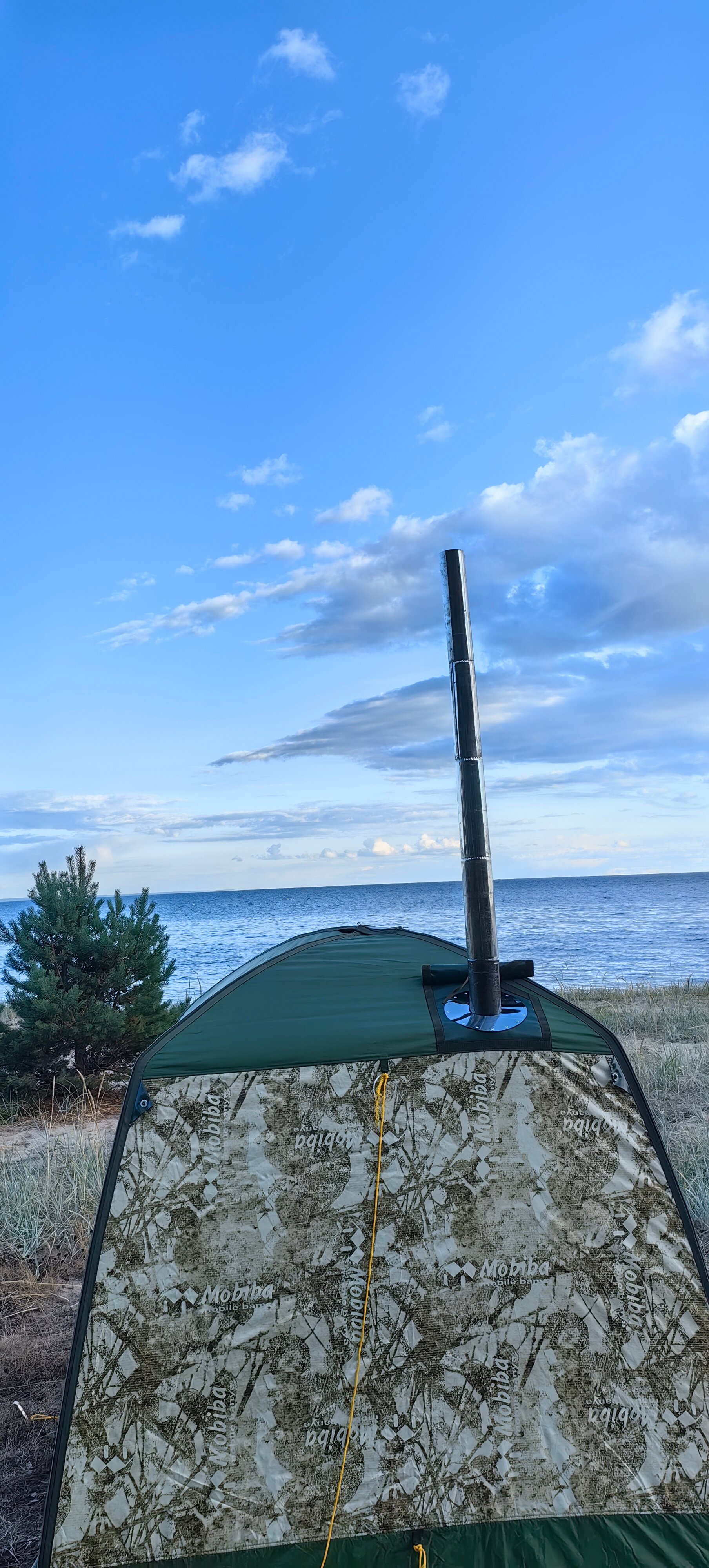 Фото Белый кит