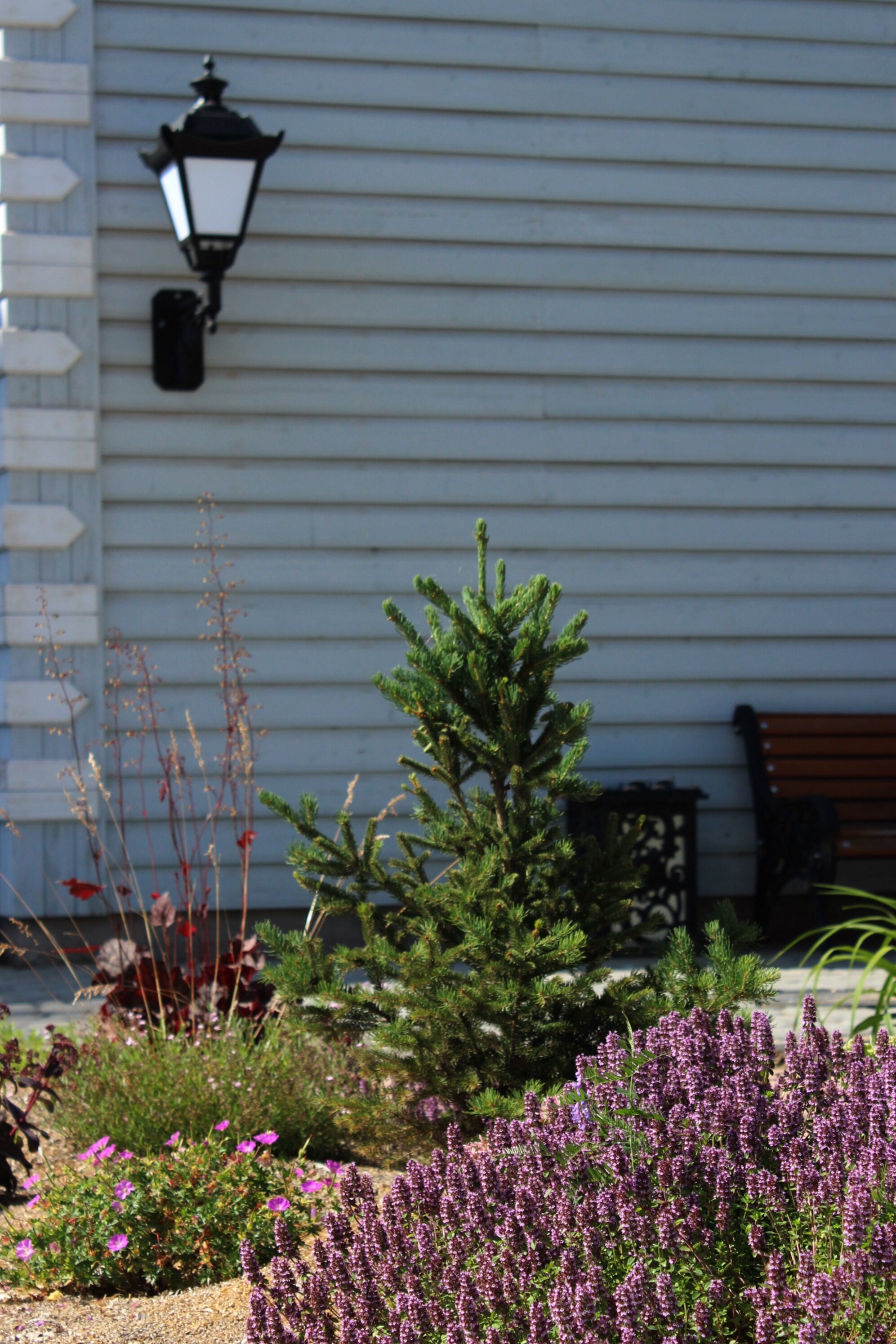 Фото Заречный 1840