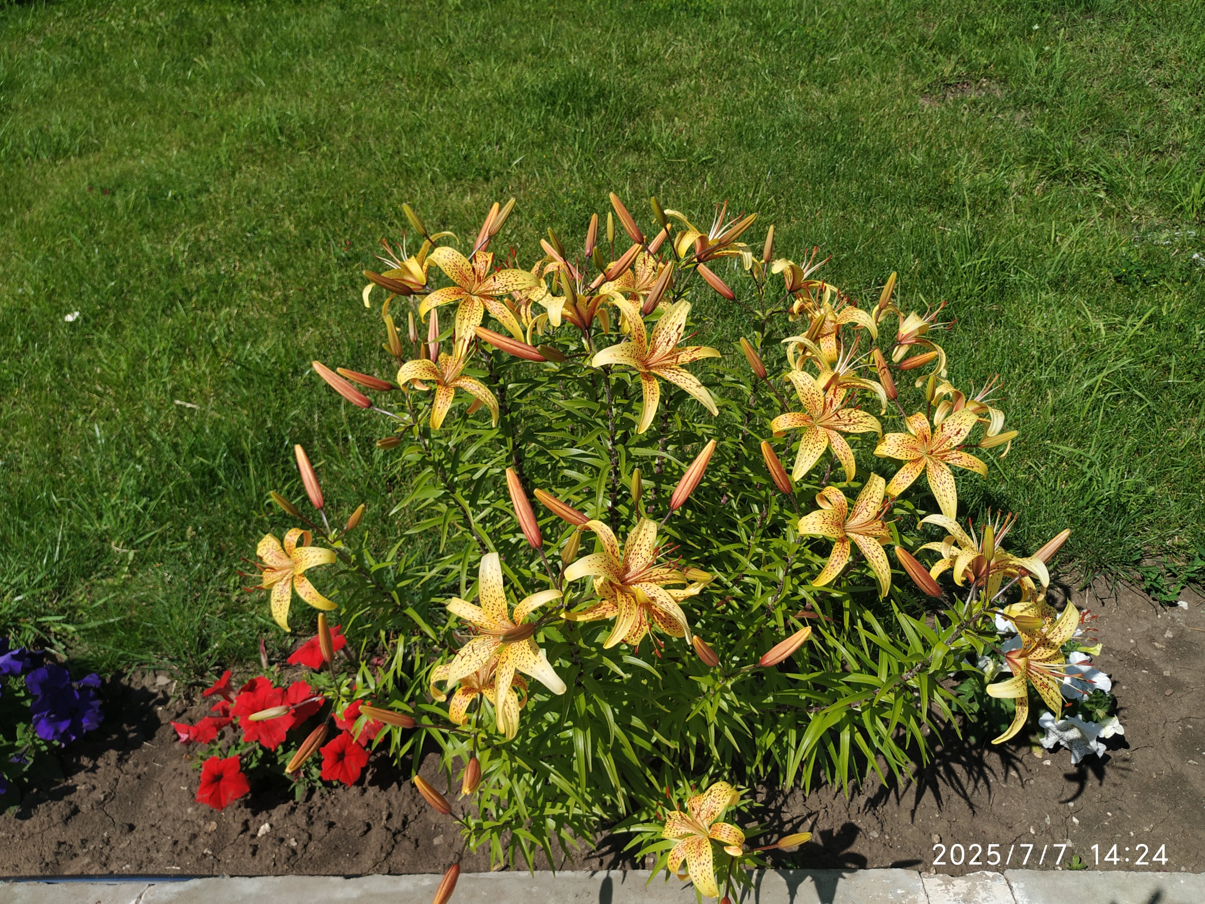 Фото Гостиница на М5