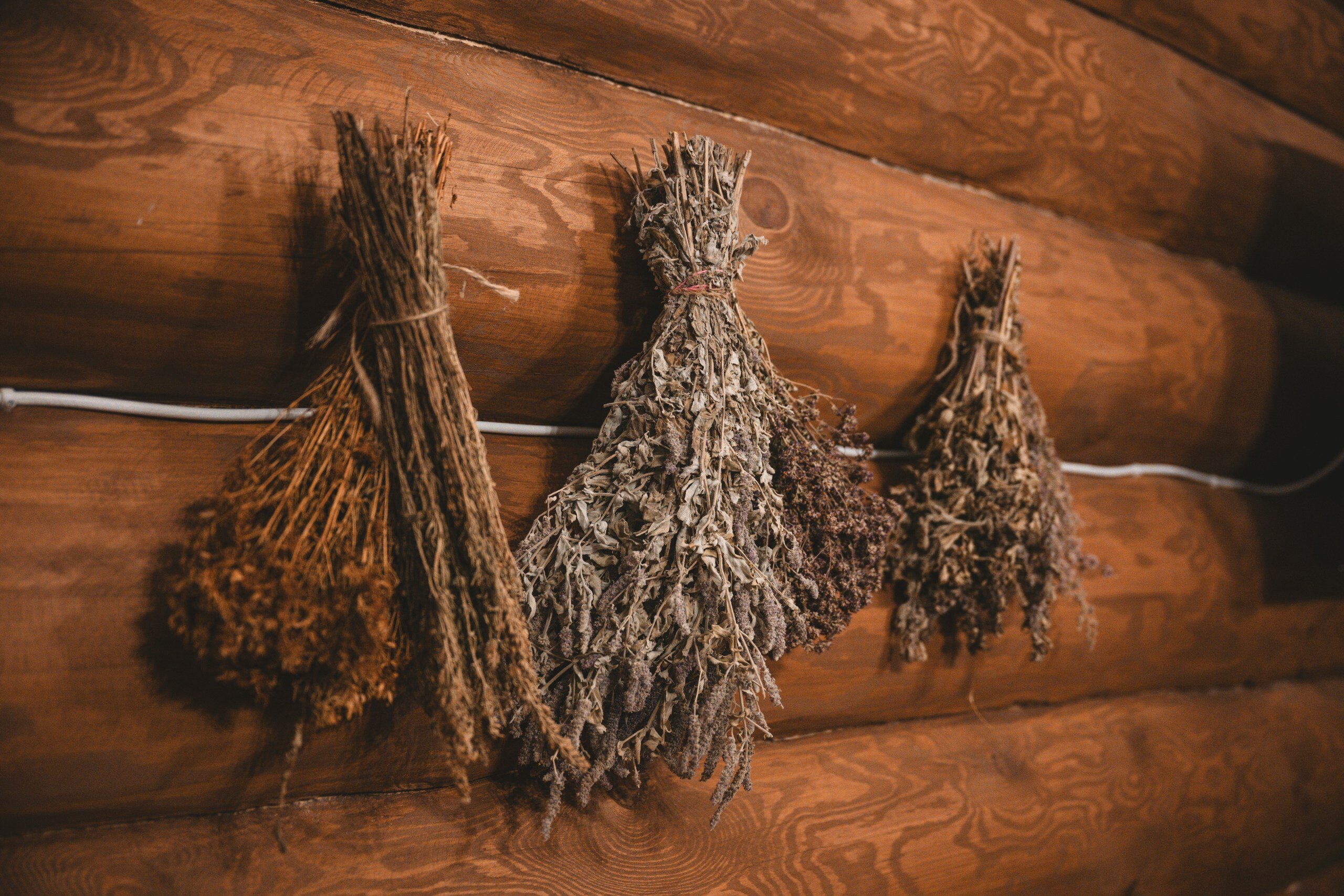 Фото Усадьба Южный Берег