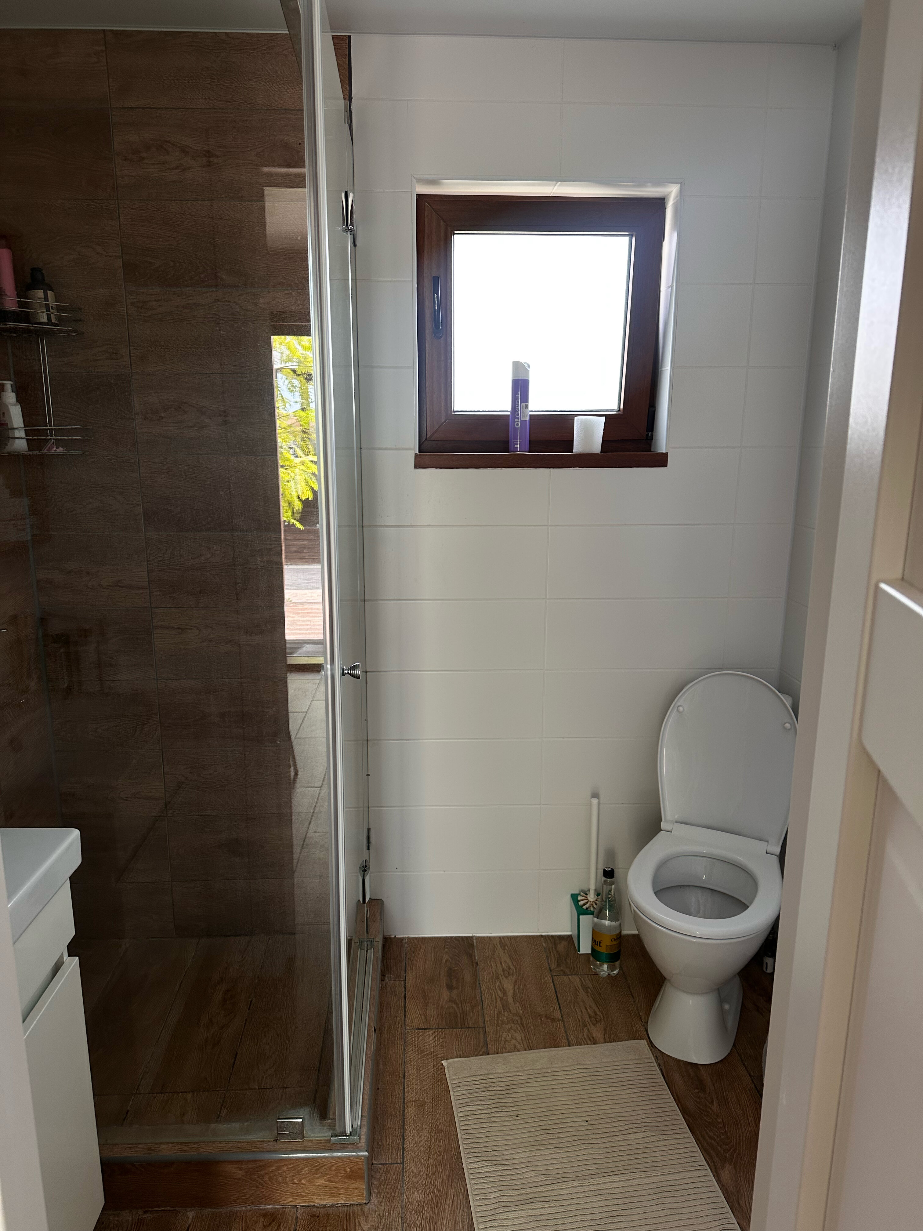 Фото Фортуна