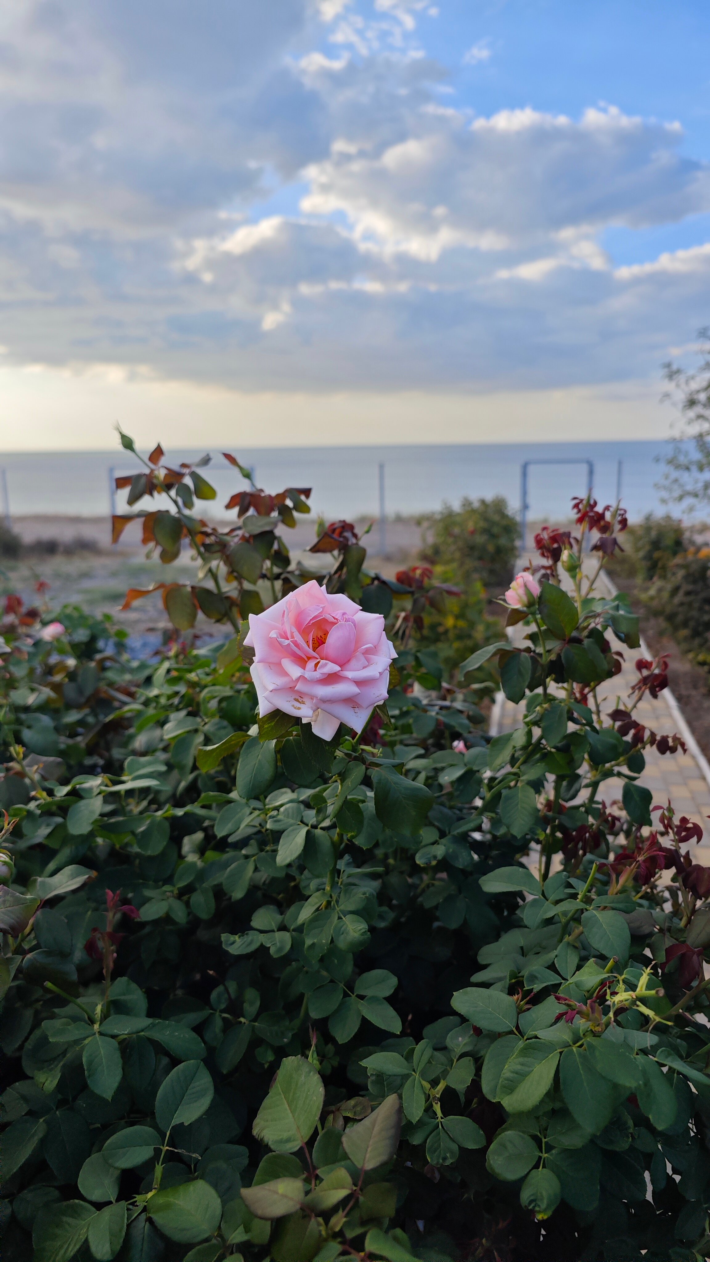 Фото Стефания на Николаевской