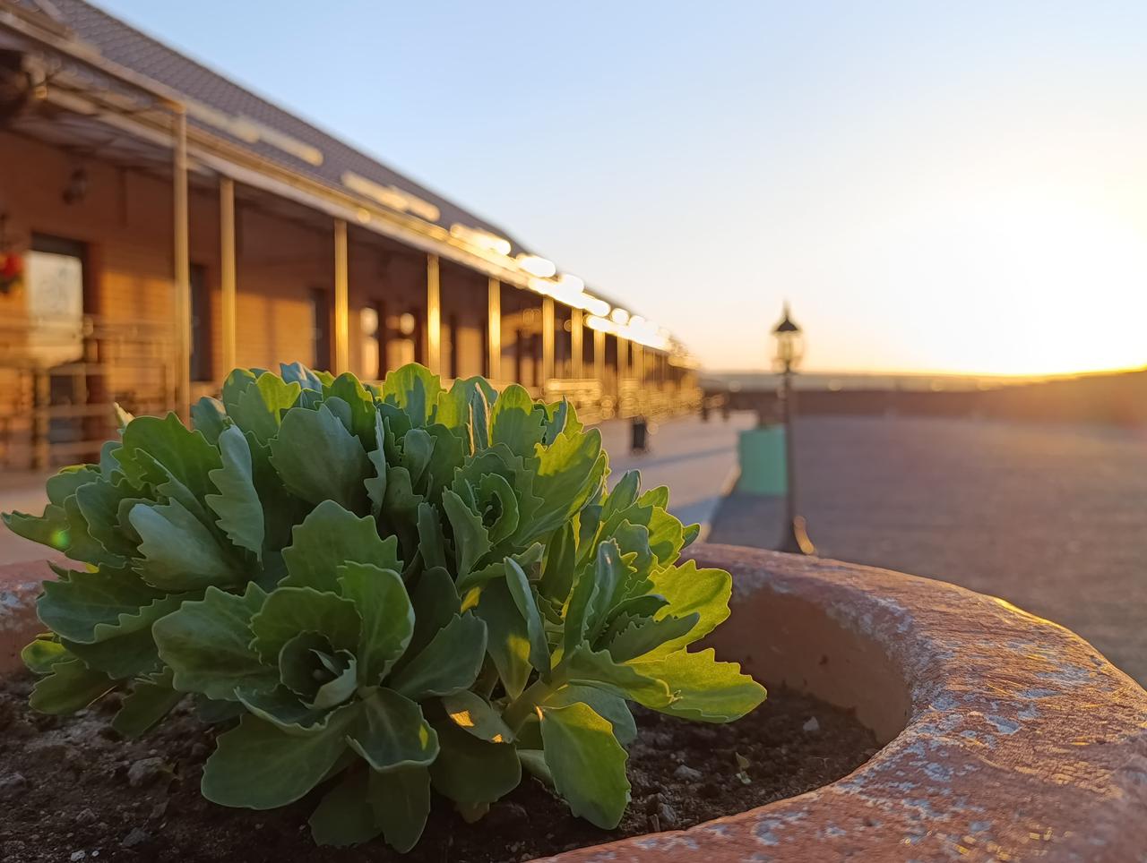 Фото Астонит