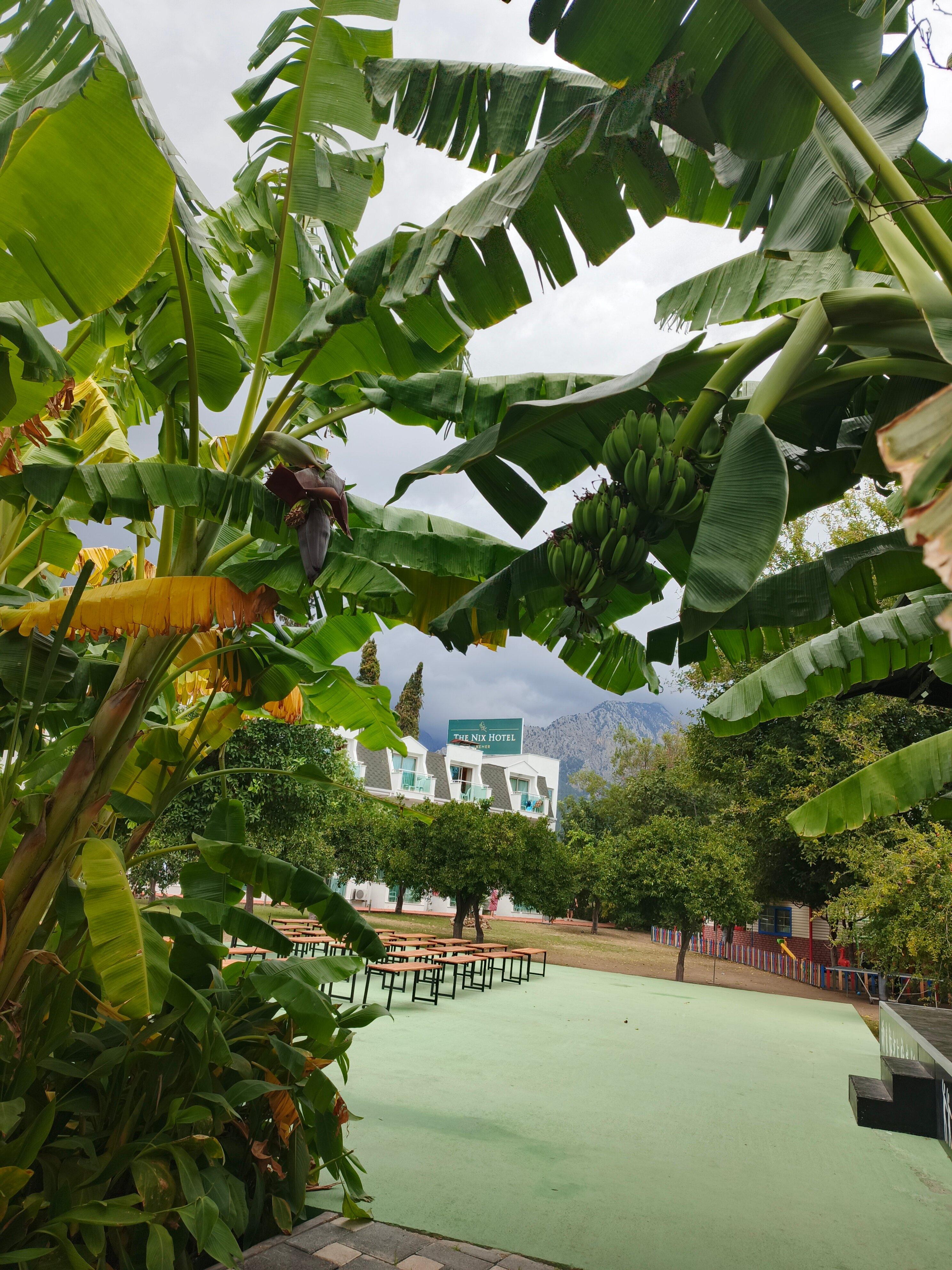 Фото The Nix Hotels