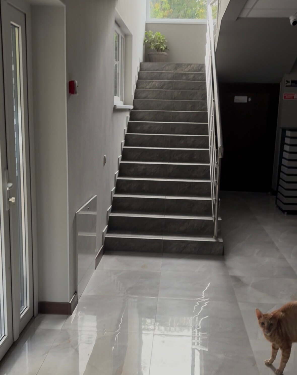 Фото Дом Солнца