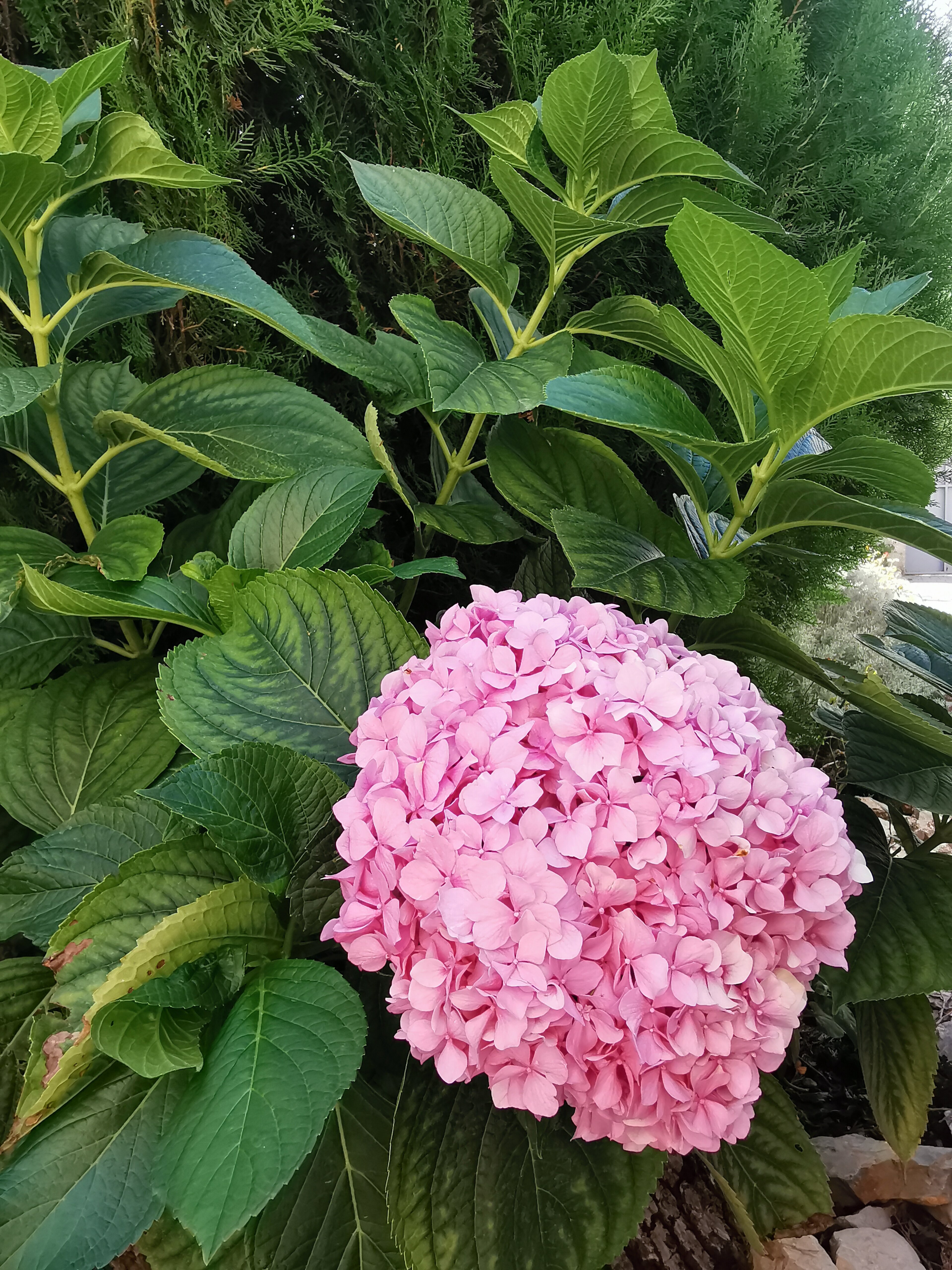 Фото Комфорт