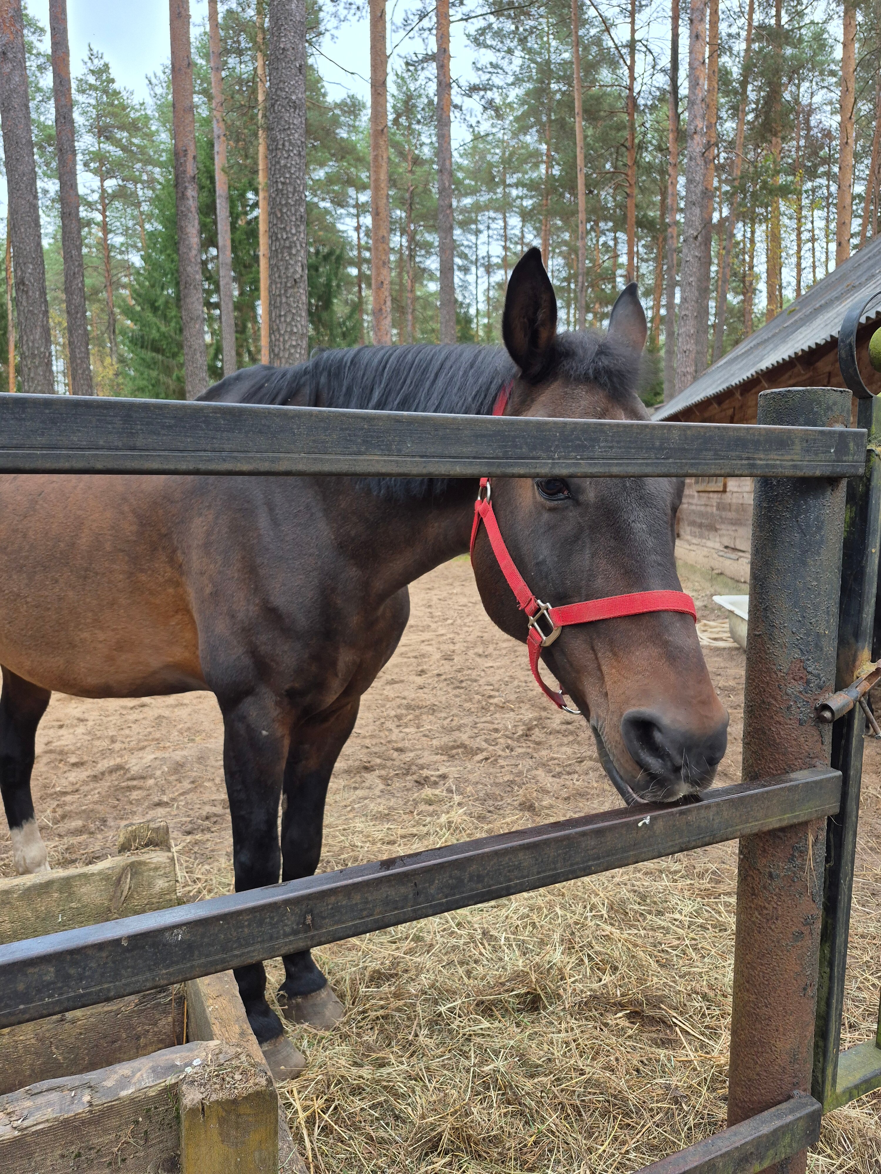 Фото Нью-Ветлуга-Парк