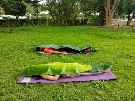 Фото The Piano Resort Khaoyai