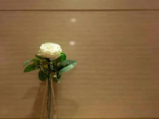 Фото Sushi Select Hotel